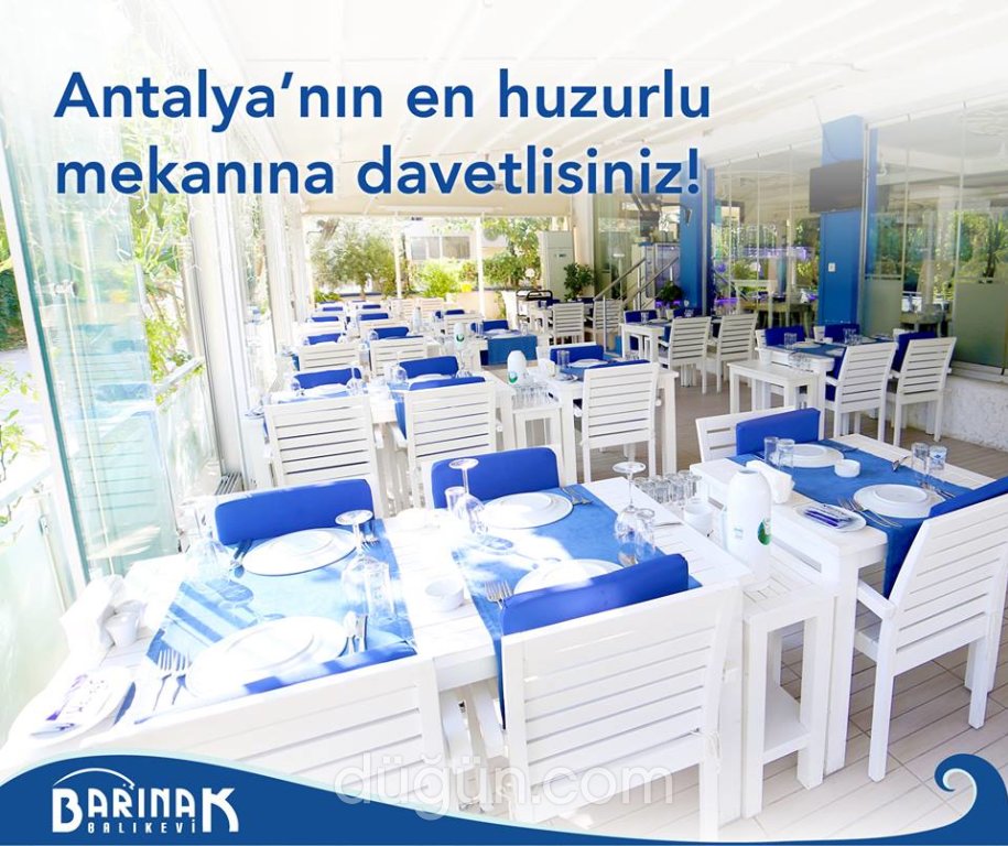 Barınak Balık Evi Nikah Sonrası Yemeği Antalya