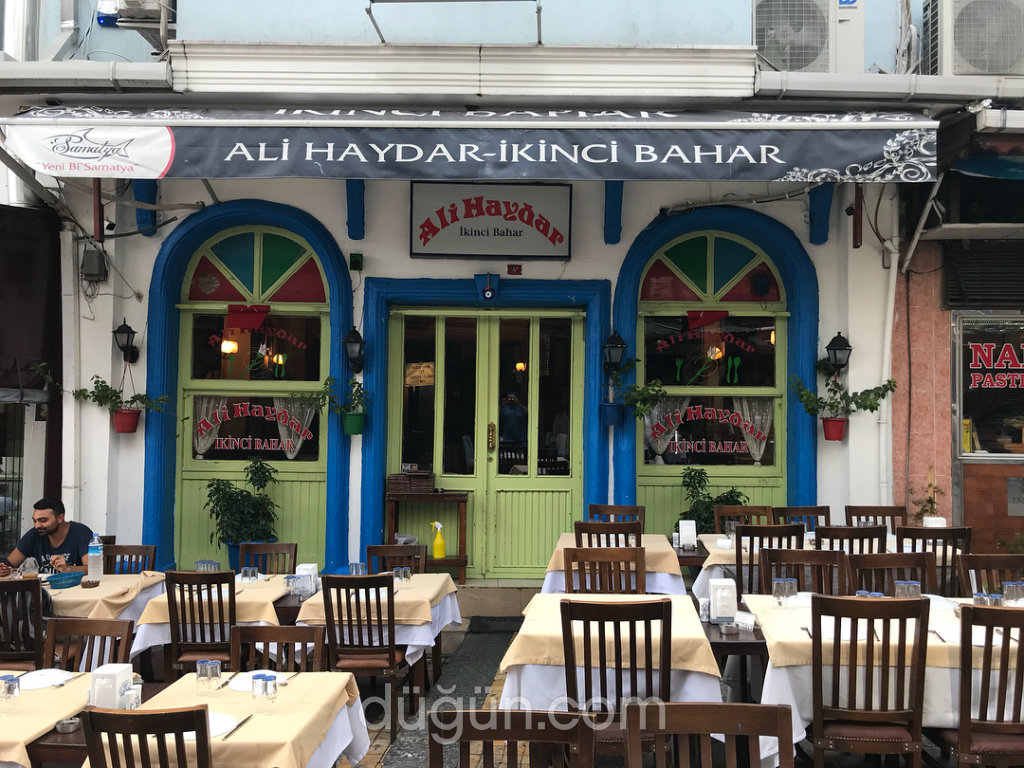 Ali Haydar İkinci Bahar