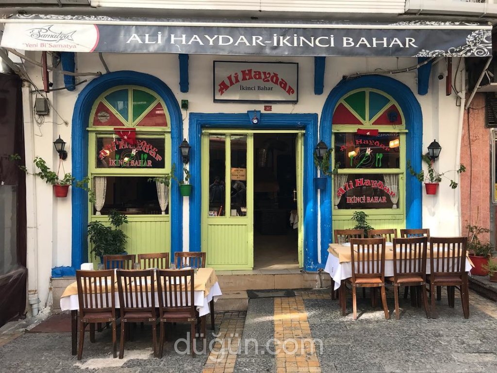 Ali Haydar İkinci Bahar