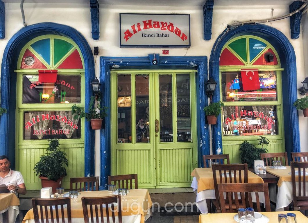 Ali Haydar İkinci Bahar