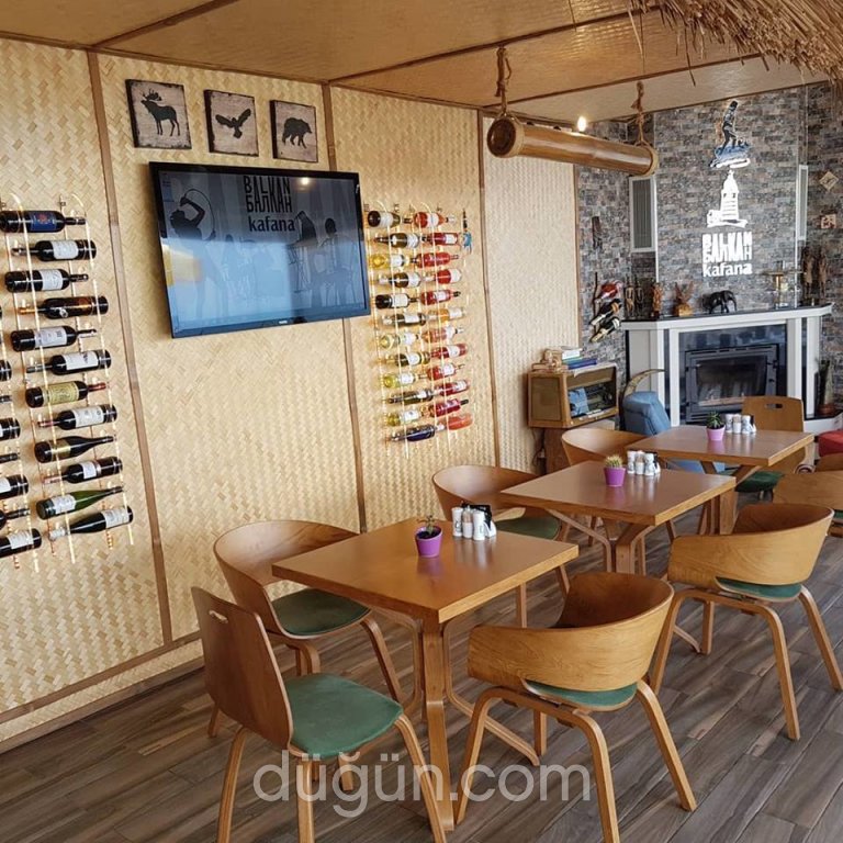 Balkan Kafana