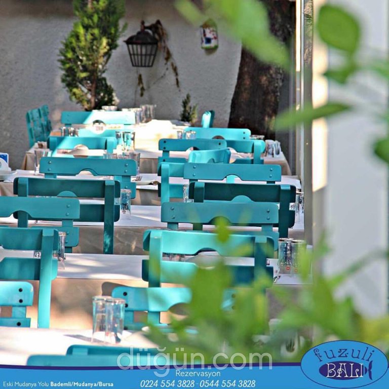 Fuzuli Balık Bademli