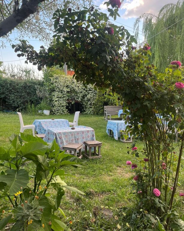 Miray Kır Düğünü