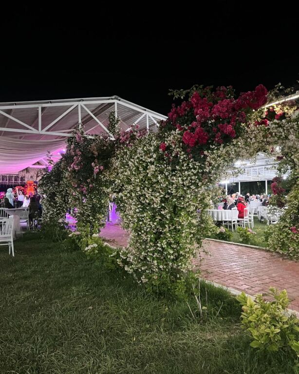 Miray Kır Düğünü