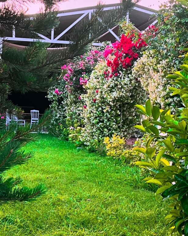 Miray Kır Düğünü