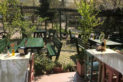 Saklambaç Balık Evi