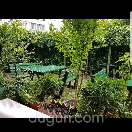 Saklambaç Balık Evi