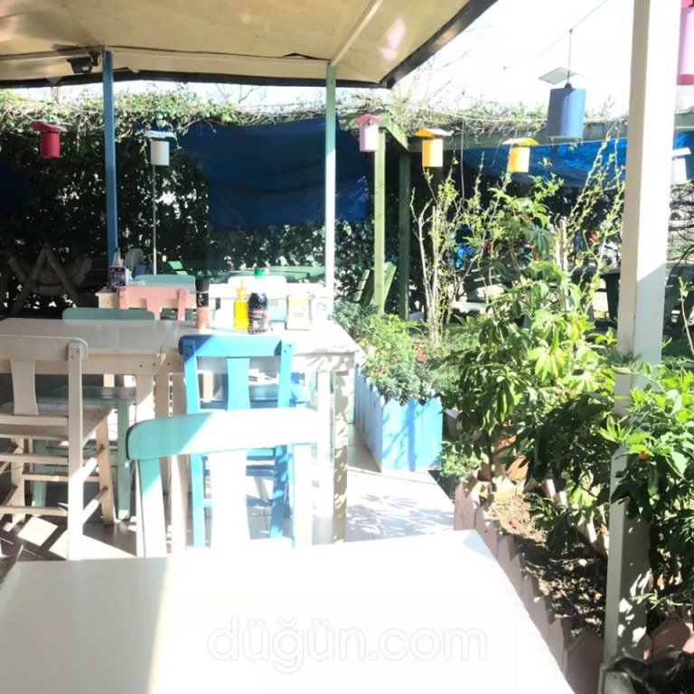 Saklambaç Balık Evi