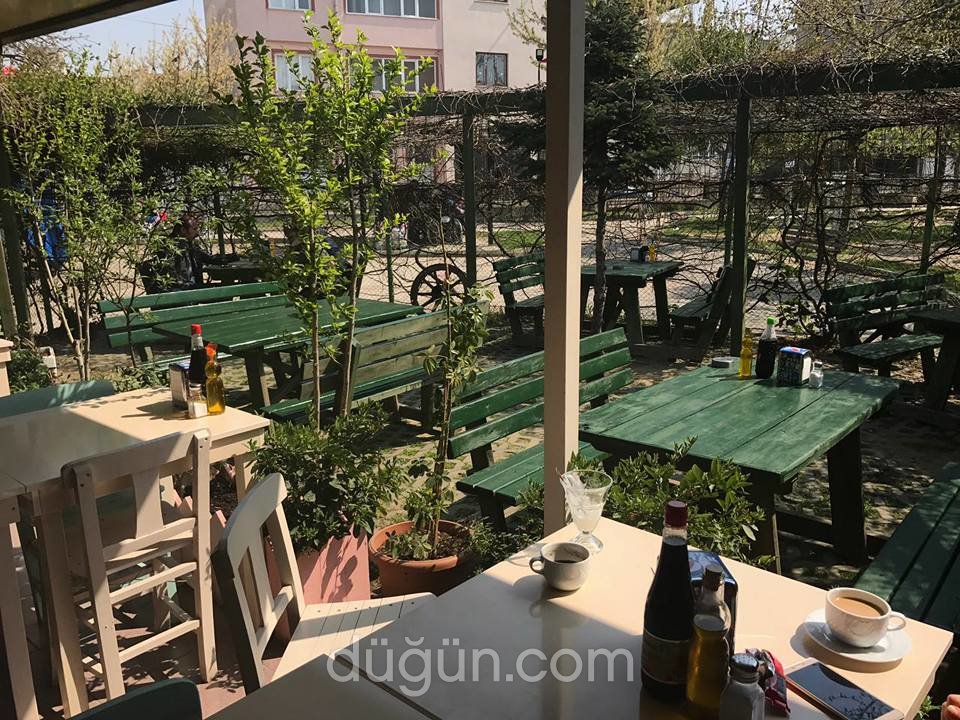 Saklambaç Balık Evi