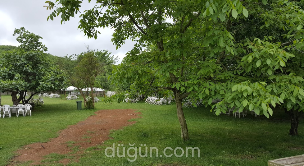 Avcı Dede Piknik Yeri