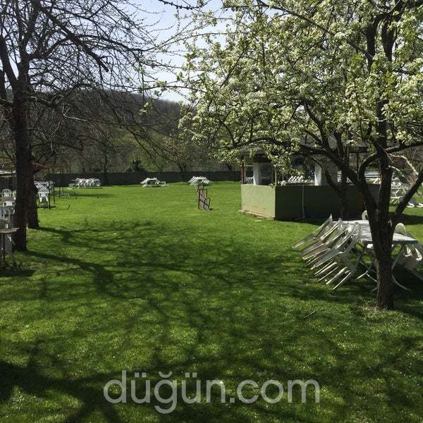 Avcı Dede Piknik Yeri