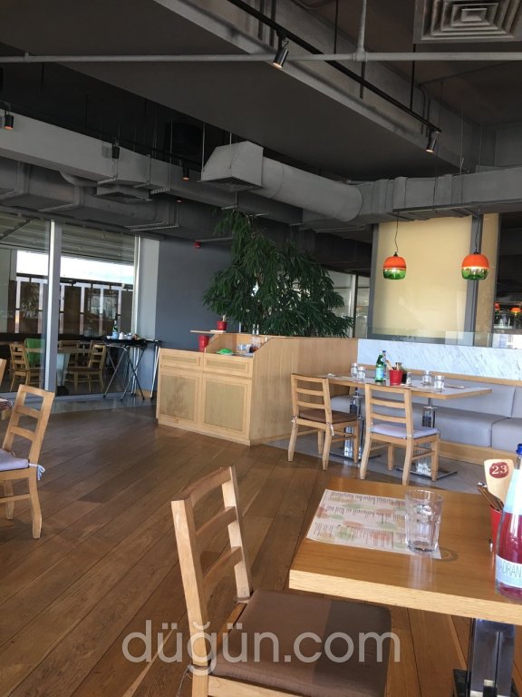 Antre Anthill Restaurant