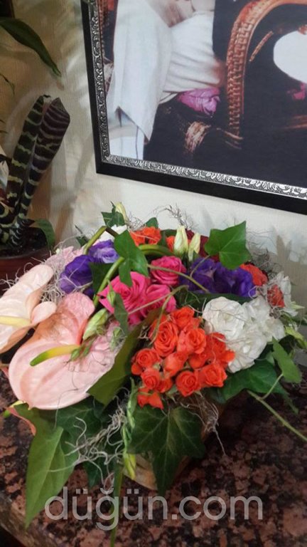 Ercan Çiçekçilik&Organizasyon;