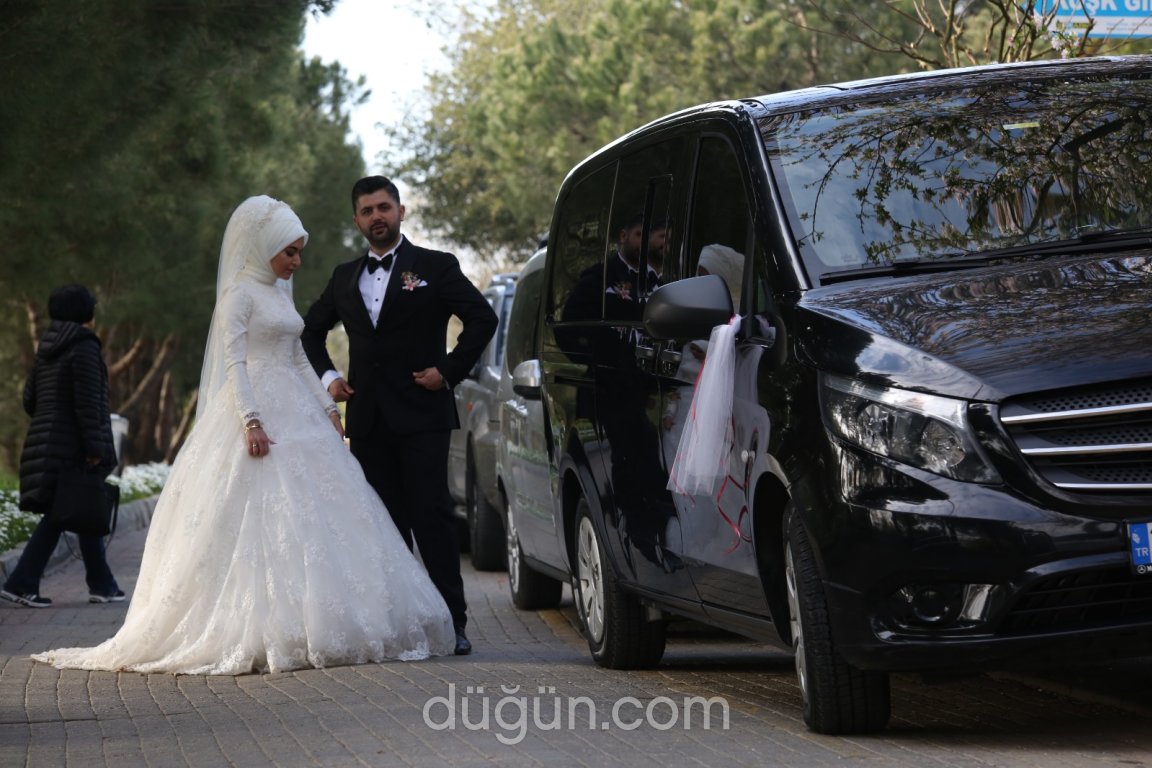 Transfer Plus Gelin Arabası