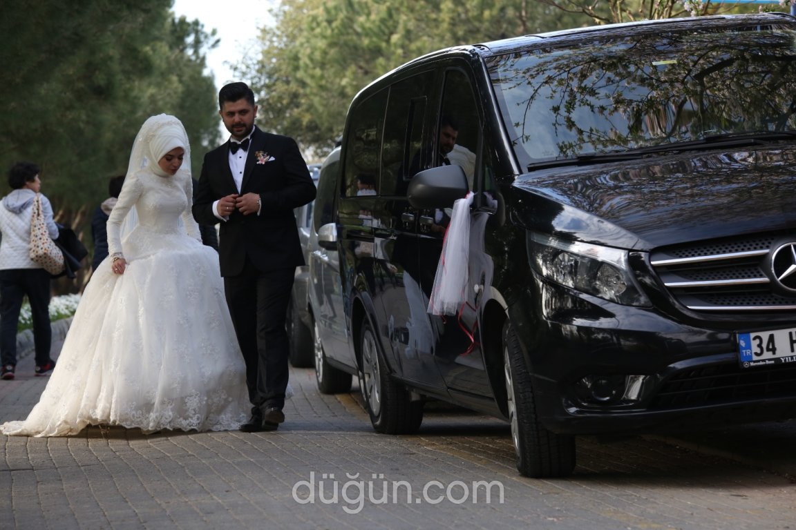 Transfer Plus Gelin Arabası