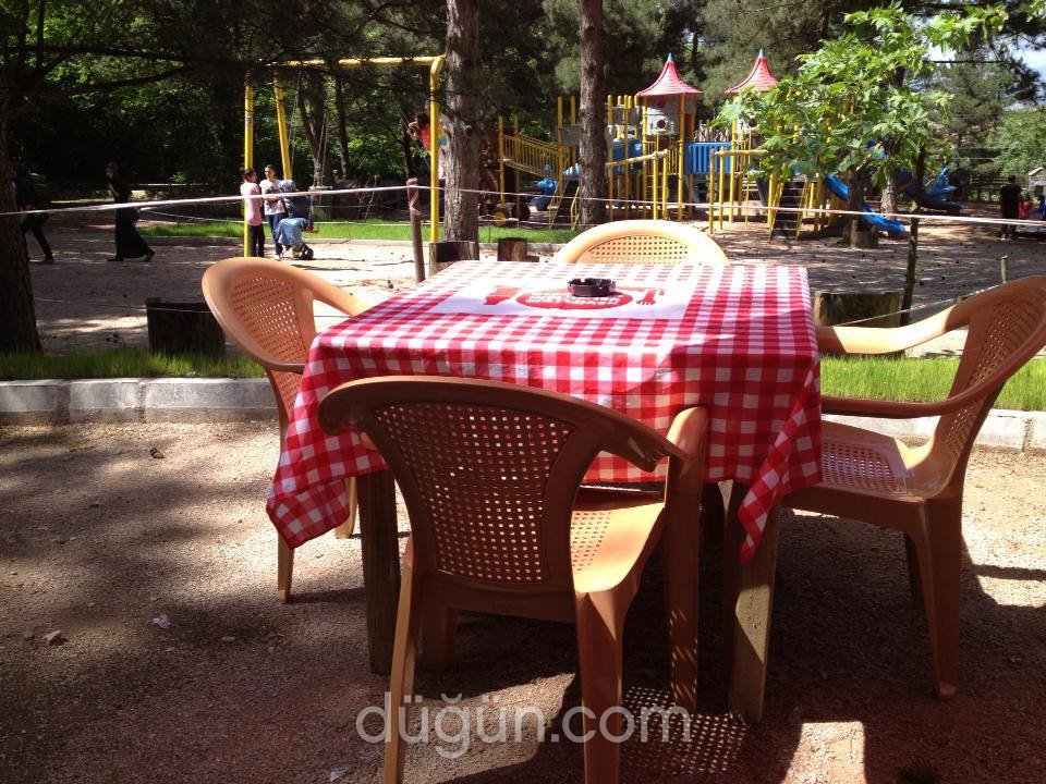 Aral Alabalık Tesisleri