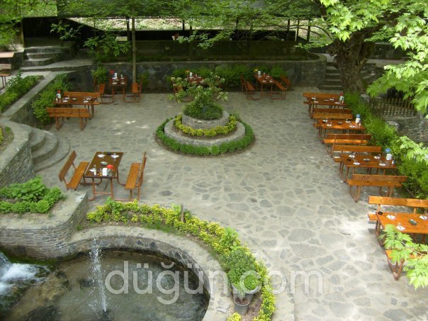 Aral Alabalık Tesisleri