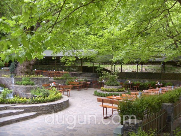 Aral Alabalık Tesisleri