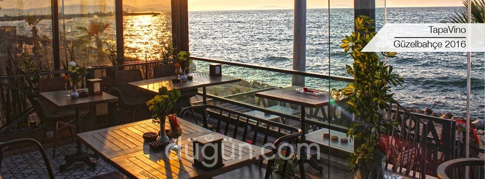 Tapavino Cafe & Restaurant