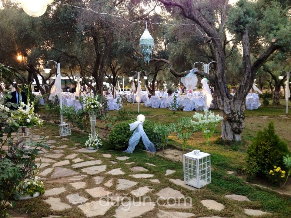 Çınar Garden Kır Düğün Sarayı