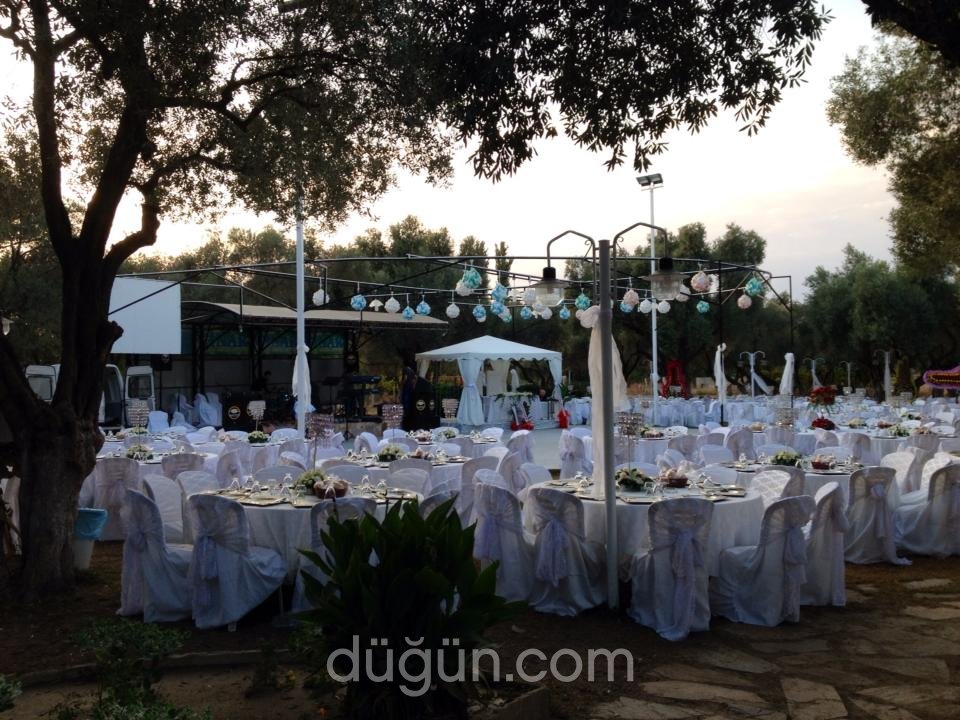 Çınar Garden Kır Düğün Sarayı