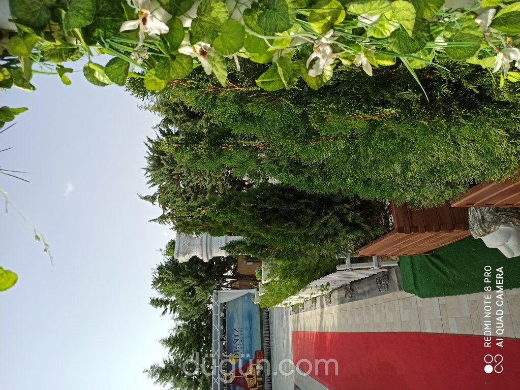 Deniz Kır Düğün Bahçesi