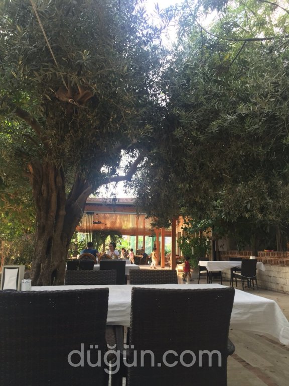 Gözde Balık Evi Nikah Sonrası Yemeği Antalya