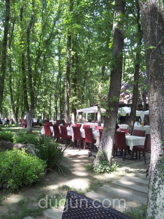 Meşelik Park