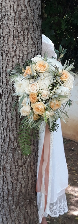 Studio Diflorance