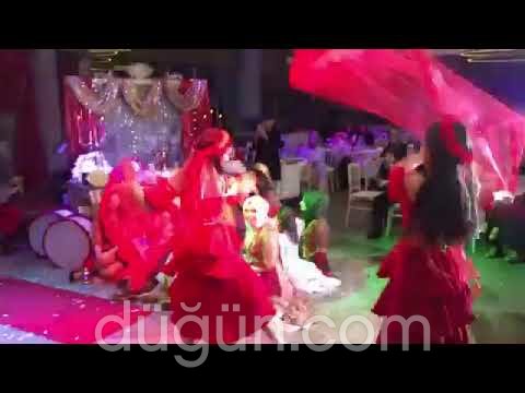 Sakarya Rumeli Organizasyon