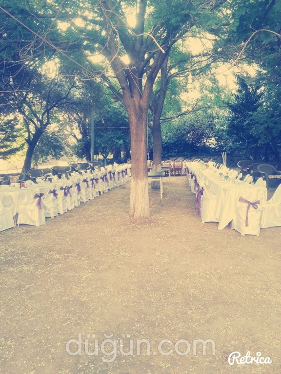 Botanik Cafe & Restaurant