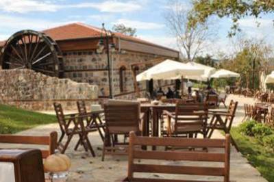 Dobruca Değirmen Park Tesisi