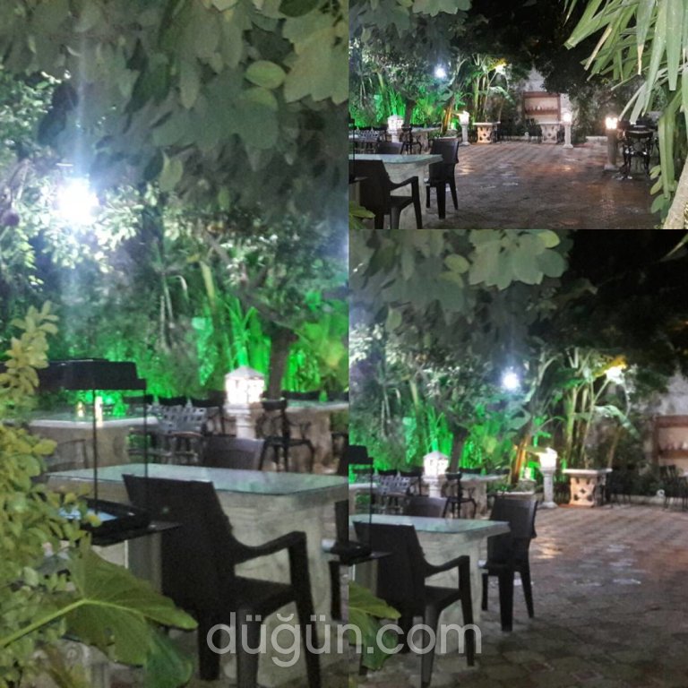 Marco Pasha Orkinos Restaurant