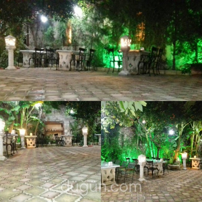 Marco Pasha Orkinos Restaurant