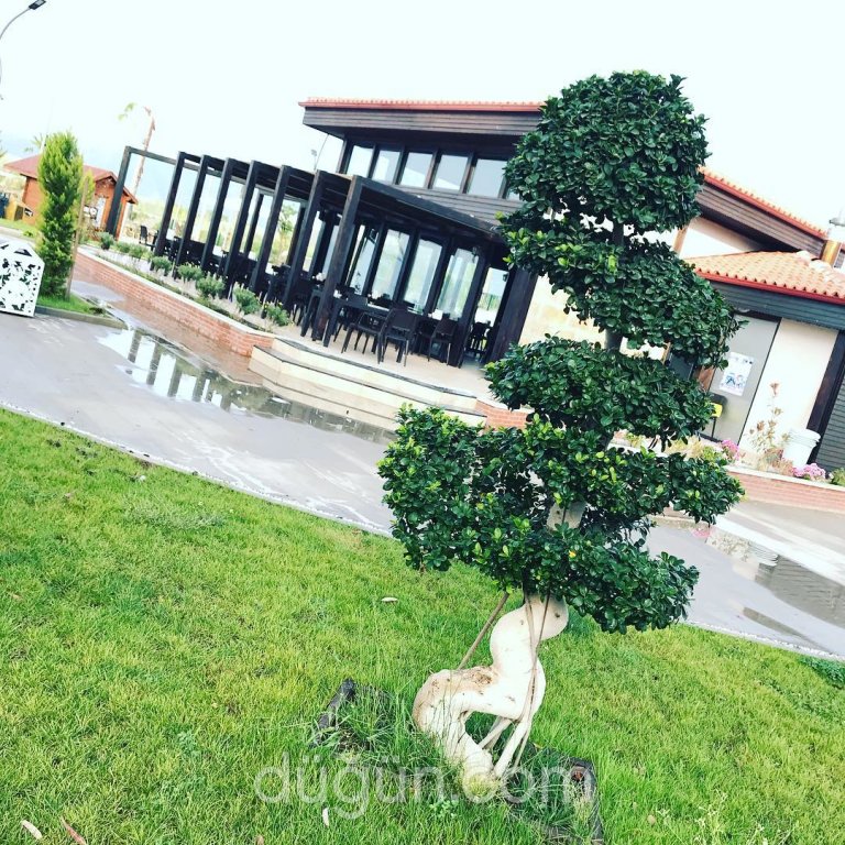 Köyceğiz Belediyesi Delta Plaj Tesisleri