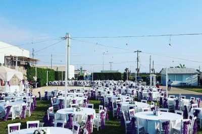 Papatya Kır Bahçesi