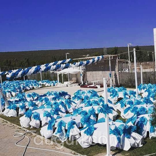 Papatya Kır Bahçesi