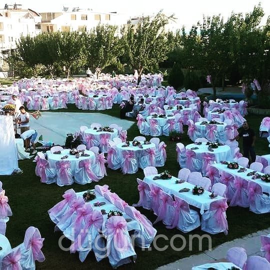 Papatya Kır Bahçesi