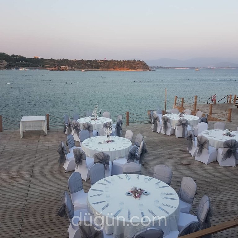 Papatya Kır Bahçesi