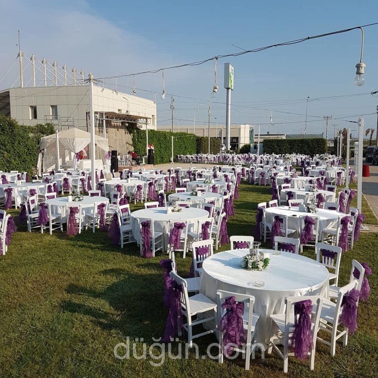 Papatya Kır Bahçesi