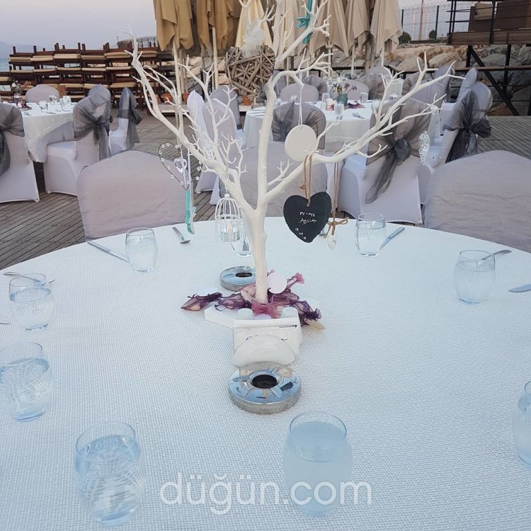 Papatya Kır Bahçesi