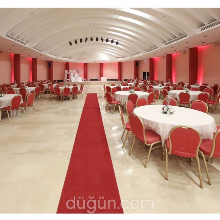 Papatya Kır Bahçesi