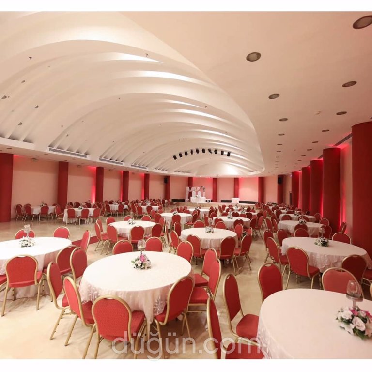 Papatya Kır Bahçesi