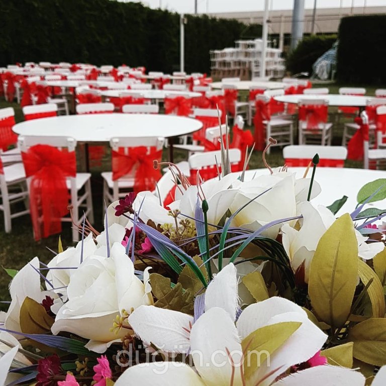 Papatya Kır Bahçesi