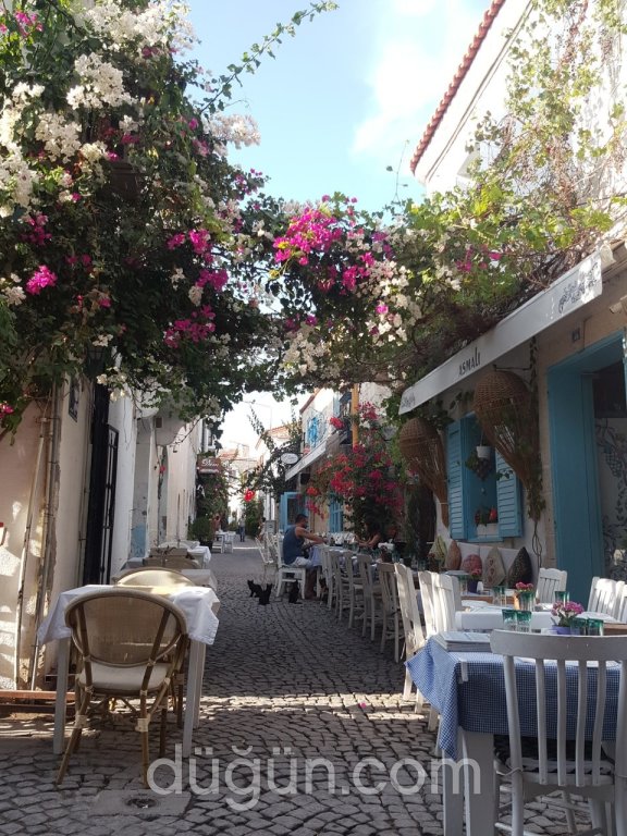 Asmalı Alaçatı
