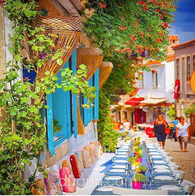 Asmalı Alaçatı