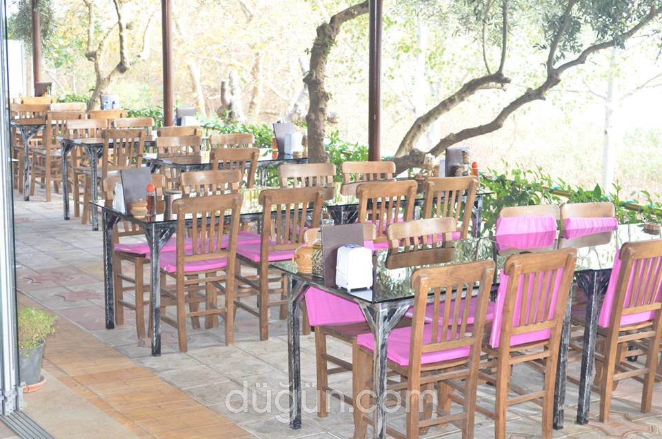 Gölyazı Gölgören Restaurant