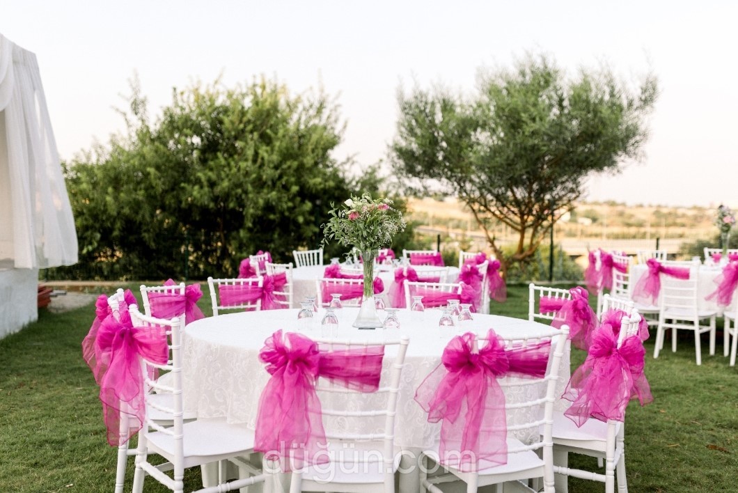 Ede Plus Kır Düğünü