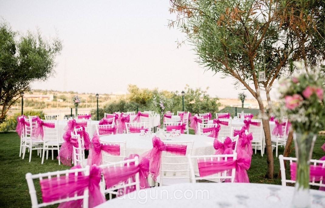 Ede Plus Kır Düğünü