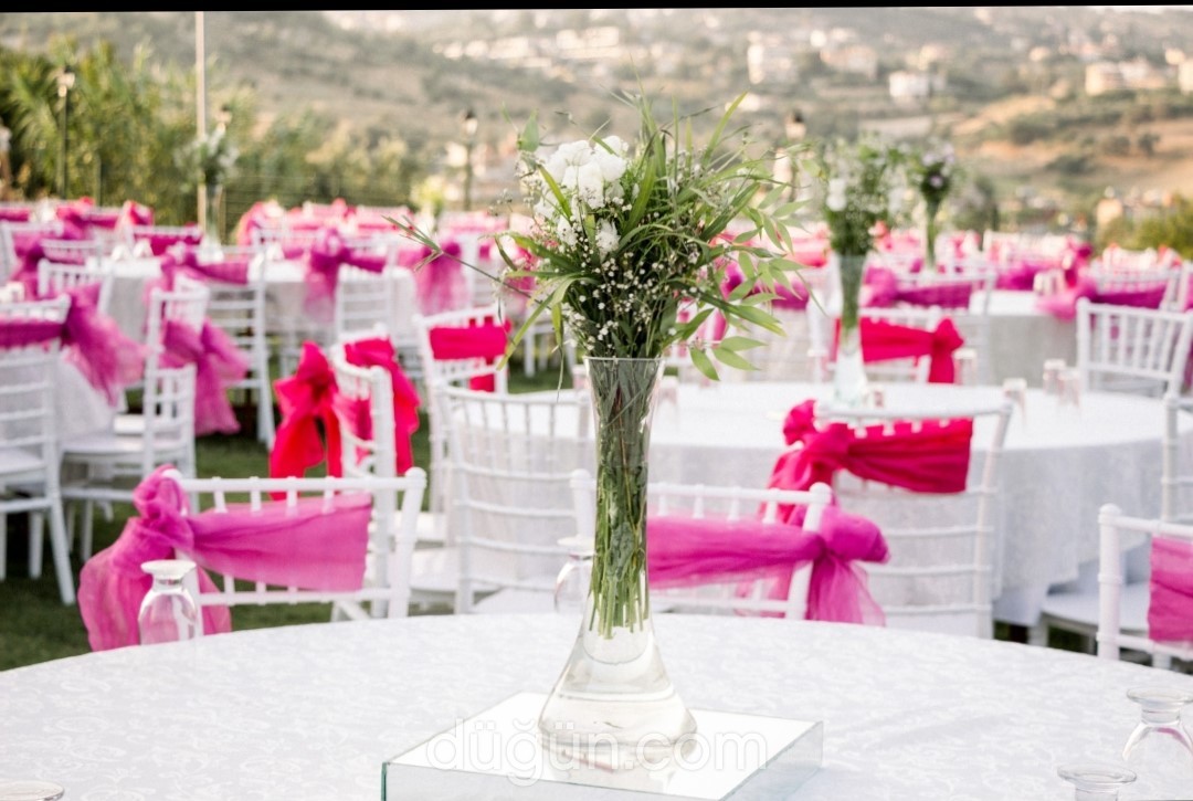 Ede Plus Kır Düğünü